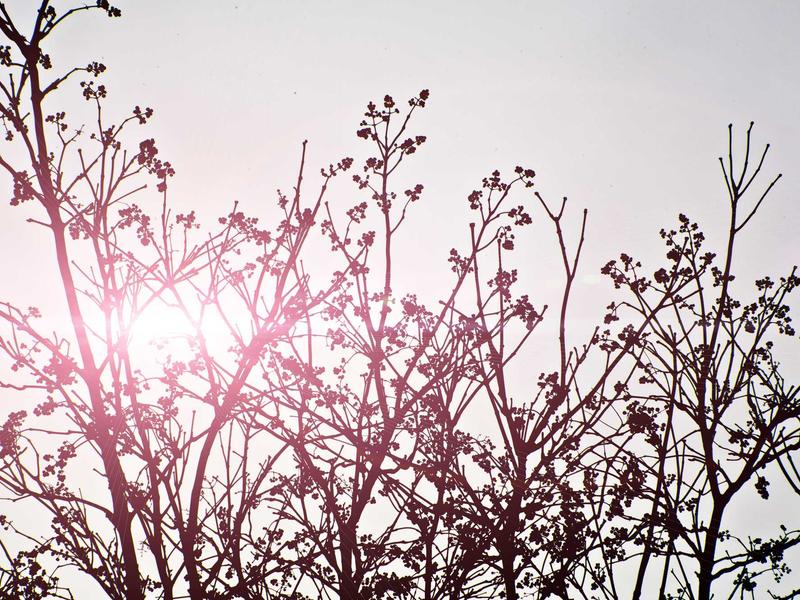 sudoku problem solving screenshot 4