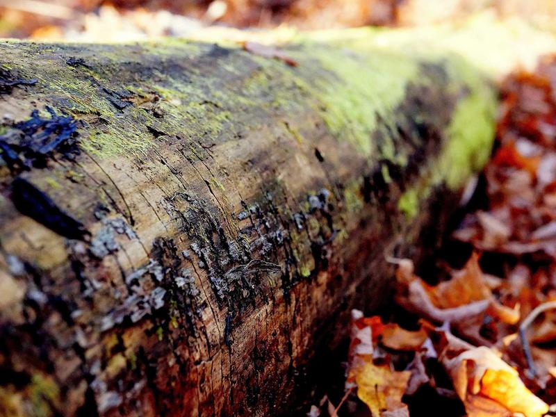 sudoku windoku screenshot 6